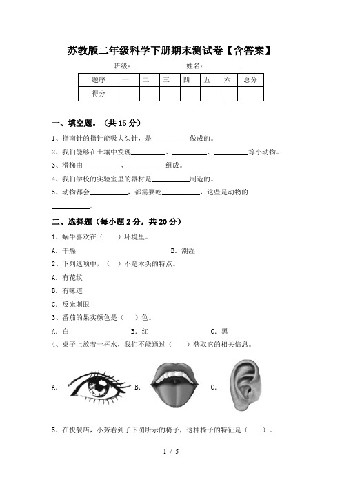 苏教版二年级科学下册期末测试卷【含答案】