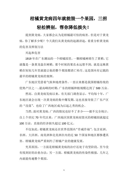 柑橘黄龙病四年就能毁一个果园,三招轻松辨别,帮你降低损失!