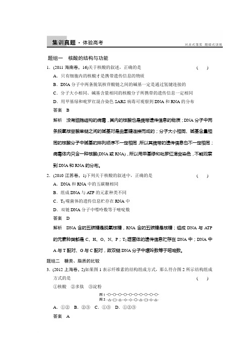 2014届高三人教版生物一轮集训真题与练出高分：1.4核酸、细胞中的糖类和脂质