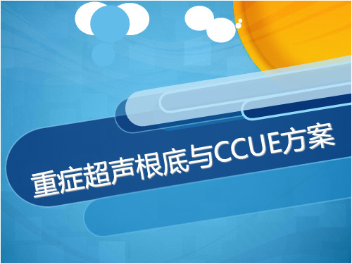 重症超声基础与CCUE方案