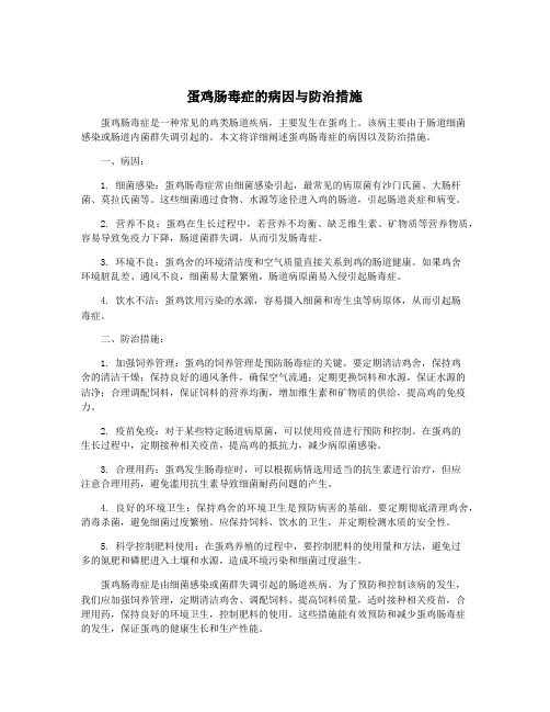 蛋鸡肠毒症的病因与防治措施