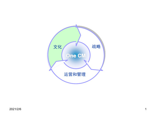 PPT图示汇总