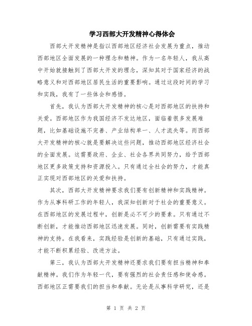 学习西部大开发精神心得体会