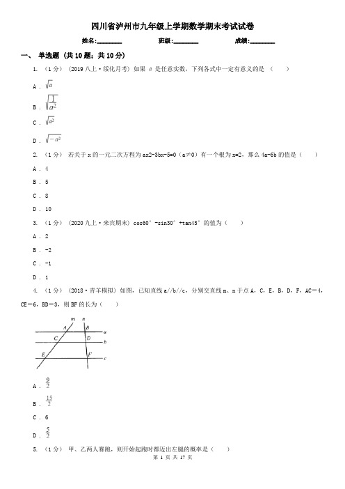 四川省泸州市九年级上学期数学期末考试试卷