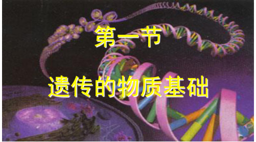 第一节遗传的物质基础2023