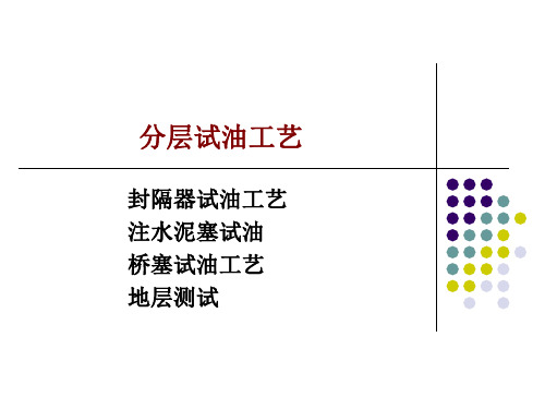 分层试油工艺