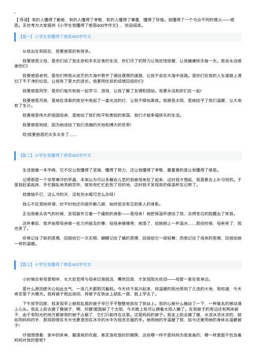 小学生我懂得了感恩400字作文