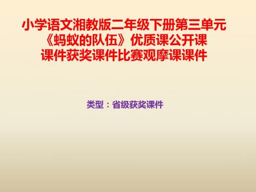 小学语文湘教版二年级下册第三单元《蚂蚁的队伍》优质课公开课课件获奖课件比赛观摩课课件B007