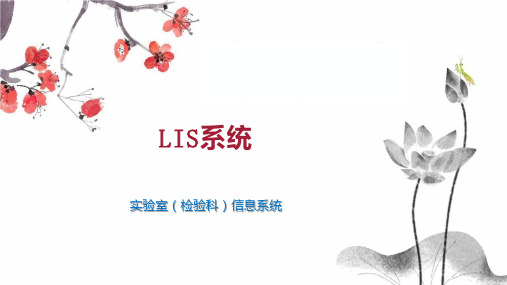 LIS系统 