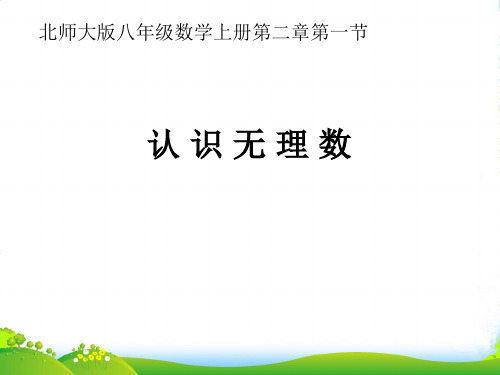 北师大八年级数学上册《认识无理数》课件(共7张PPT)