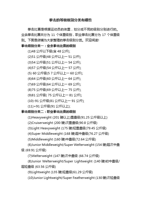 拳击的等级级别分类有哪些