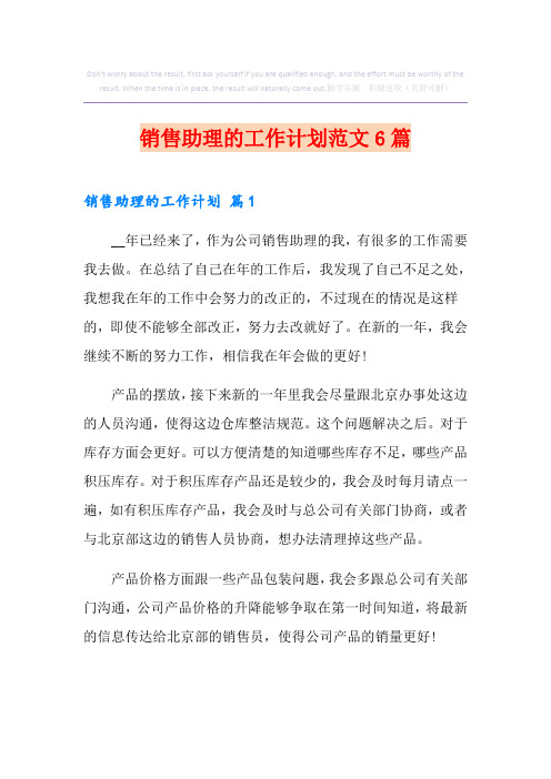 销售助理的工作计划范文6篇
