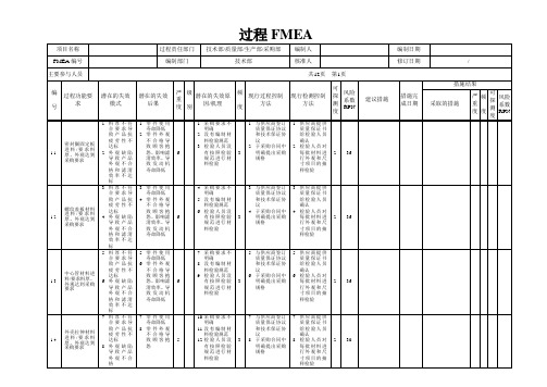 FEMA过程失效模式及后过分析报告