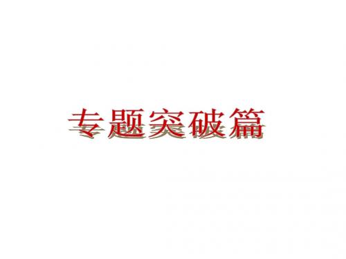2013届山东省中考物理复习方案课件:专题突破篇(新课标人教版)(1)