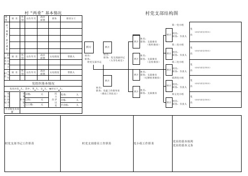 党组织结构图模版