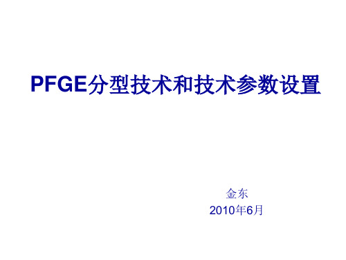 PFGE原理及参数设置