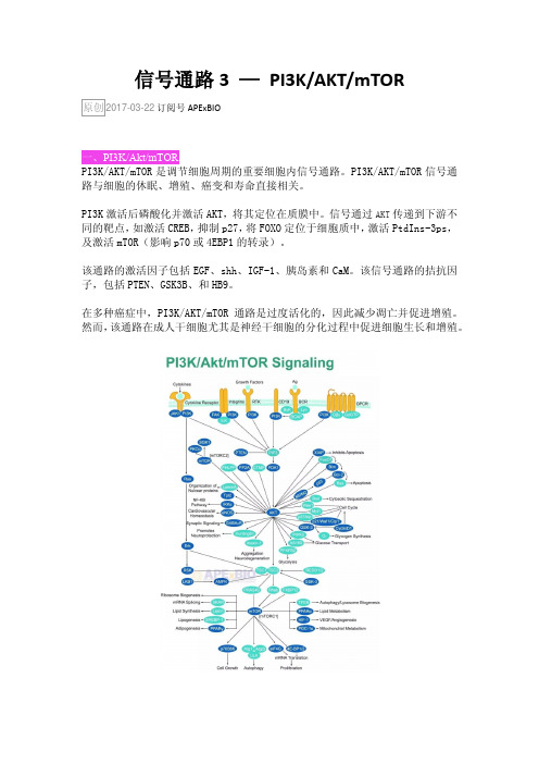 信号通路3—PI3K-AKT-mTOR