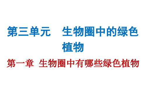 中考生物总复习课件：第三单元第一章 生物圈中有哪些绿色植物(共54张PPT)