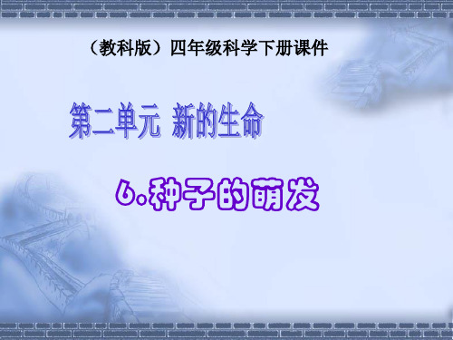 教科版科学四年级下册《2.5.种子的萌发》PPT课件(3)