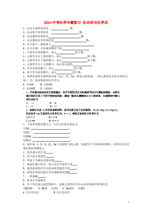 山东省肥城市湖屯中学中考化学专题复习 化合价与化学式学案(无答案)