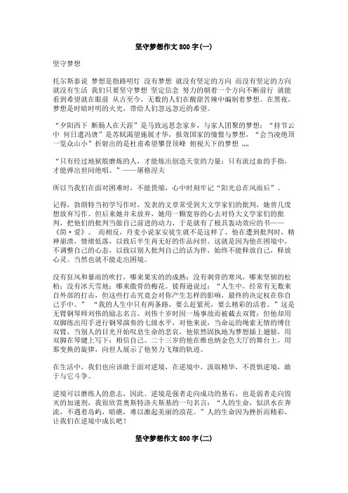 坚守梦想作文800字