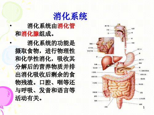 消化内科PPT精选课件