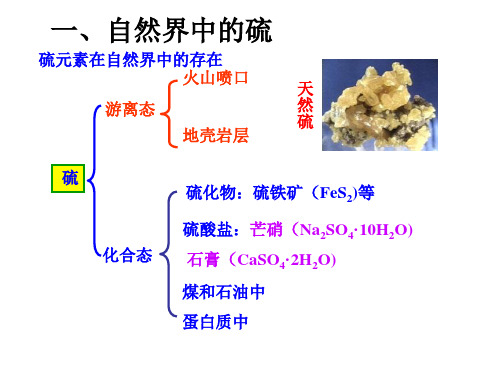 硫的转化(第一课时)鲁科版