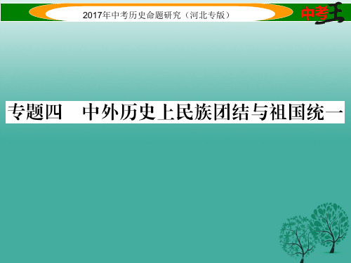 中考王河北专版中考历史总复习第三编政史综合速查专题四中外历史上民族团结与祖国统一课件