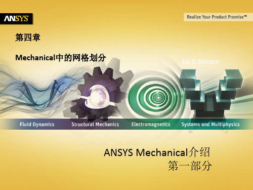 ANSYS14.0 workbench Meshing中文讲义