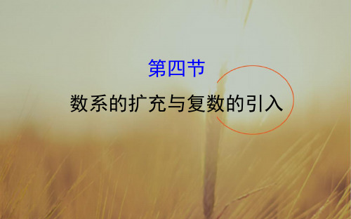 2018届高考数学理科全国通用一轮总复习课件：第四章 平面向量、数系的扩充与复数的引入 4.4 精品