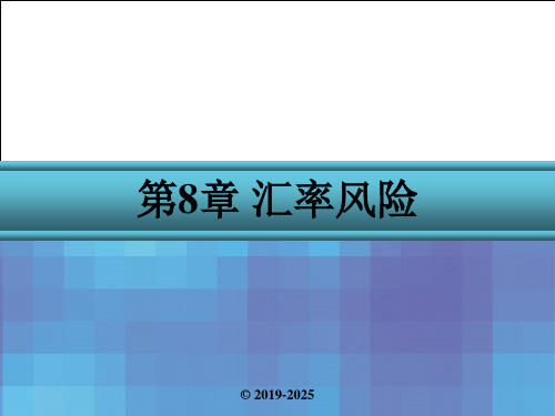 金融风险管理第8章 汇率风险