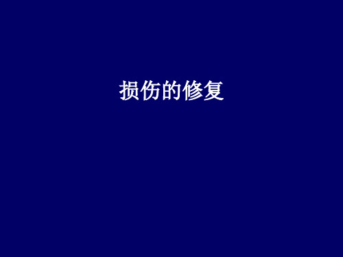 病理学课件 03第二章   损伤的修复