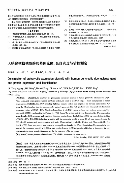 人胰腺核糖核酸酶的基因克隆、蛋白表达与活性测定