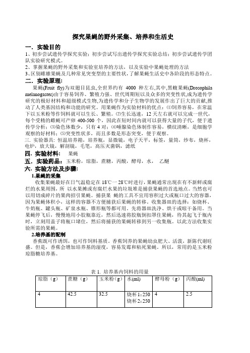 果蝇的野外采集、培养和生活史