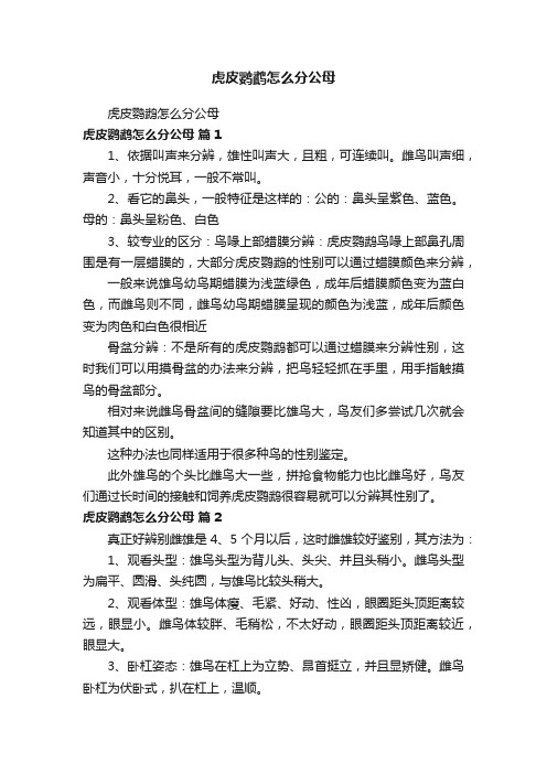 虎皮鹦鹉怎么分公母