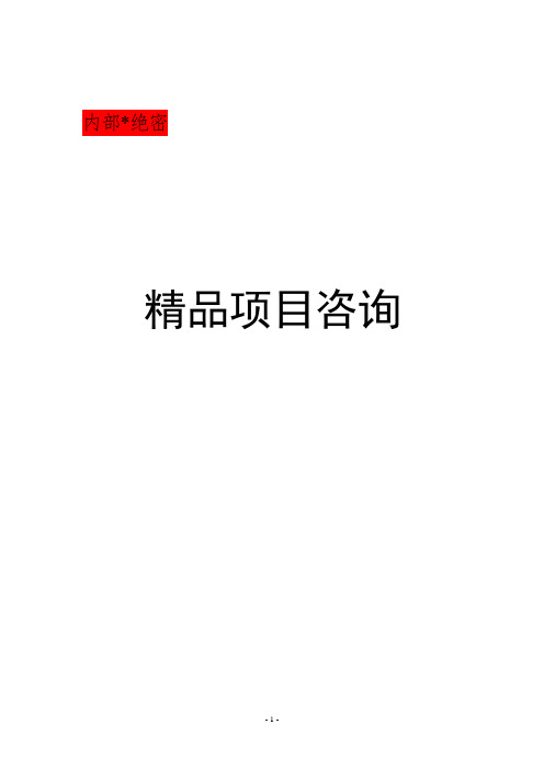 投资村镇银行的可行性报告