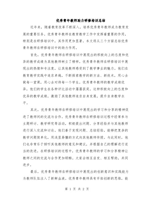 优秀青年教师助力研修培训总结