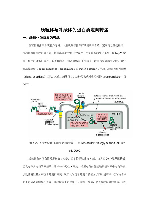 线粒体与叶绿体的蛋白质定向转运