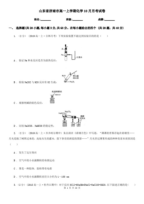 山东省济南市高一上学期化学10月月考试卷