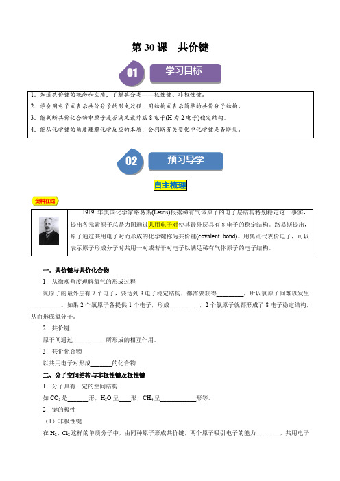 第30讲4.8共价键-2024-2025学年高一化学必修一同步学案