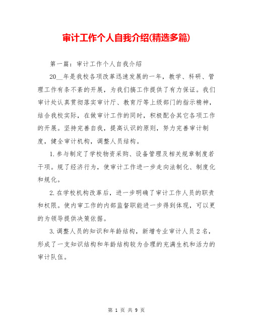 审计工作个人自我介绍(精选多篇)