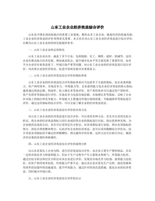 山东工业企业经济效益综合评价