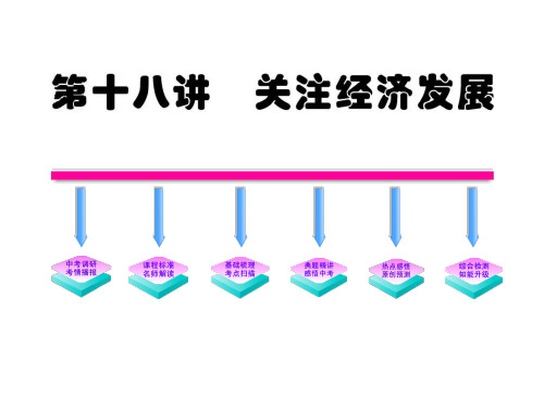 思想品德中考专题复习课件：关注经济发展