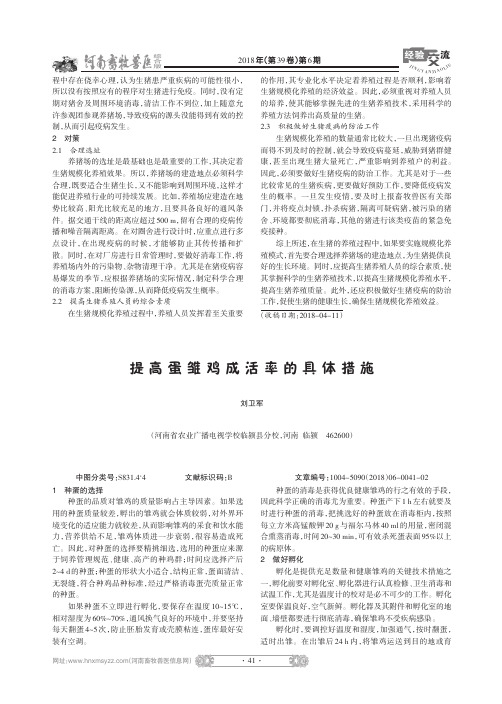 提高蛋雏鸡成活率的具体措施