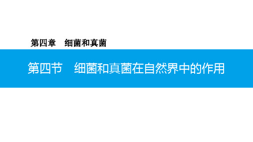 5.4.4 细菌和真菌在自然界中的作用-2020年秋人教版八年级上册生物课件(共18张PPT)