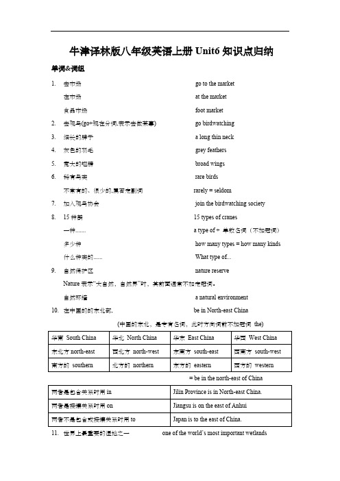 牛津译林版八年级英语上册Unit6知识点归纳