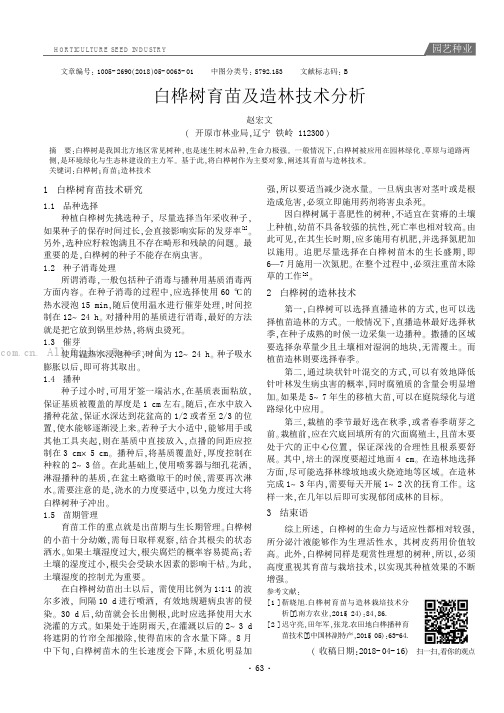 白桦树育苗及造林技术分析