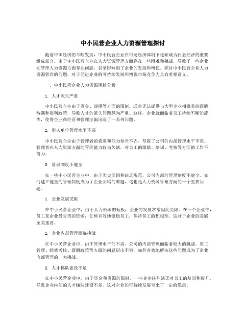 中小民营企业人力资源管理探讨