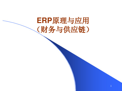 ERP原理与应用概述精品PPT课件