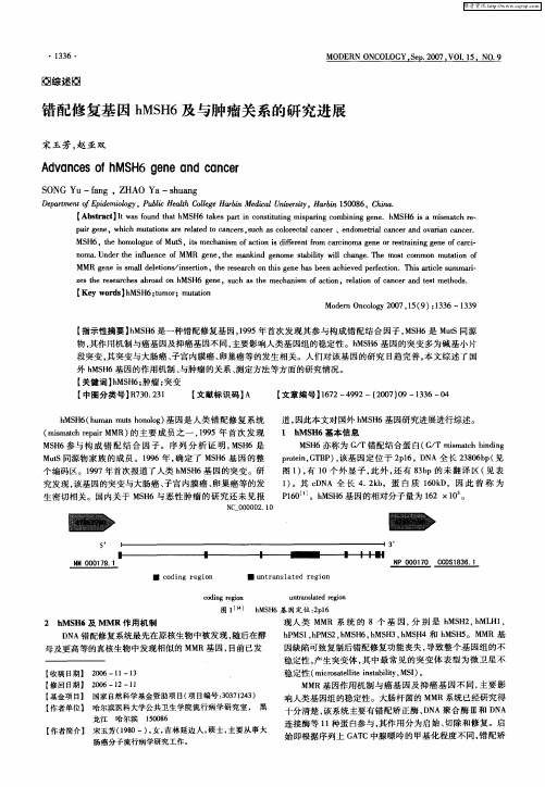 错配修复基因hMSH6及与肿瘤关系的研究进展